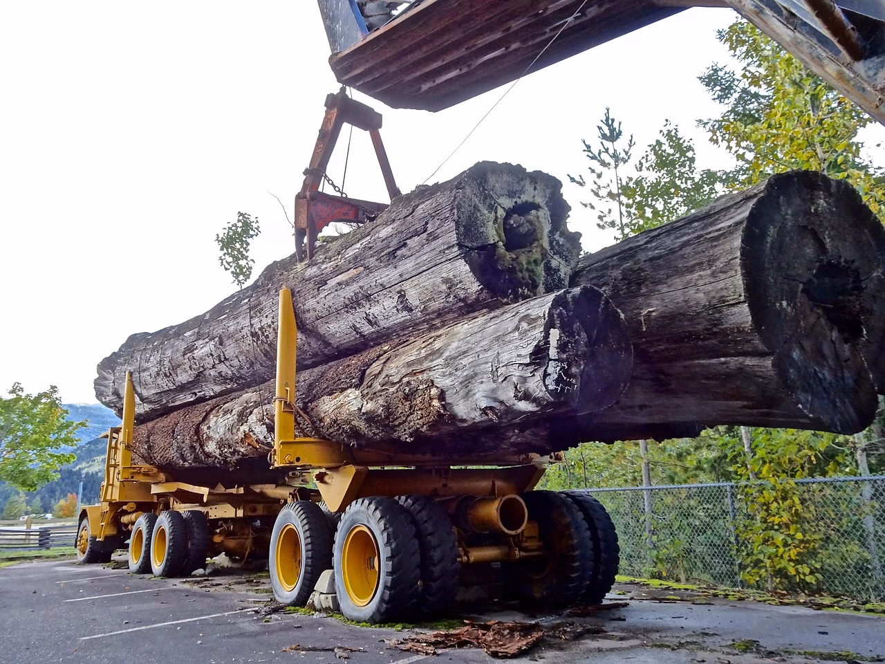 Teollinen maisema, jossa puut ja metsä luovat rauhoittavan tunnelman.