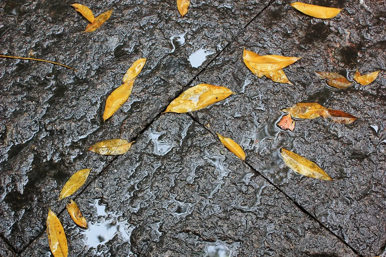 Kuurainen aamu, liukas asfaltin pinta syksyisessä ympäristössä.