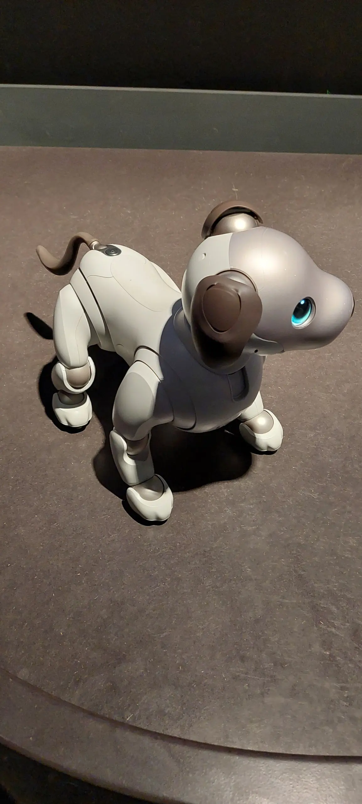 AIBO Sony 2