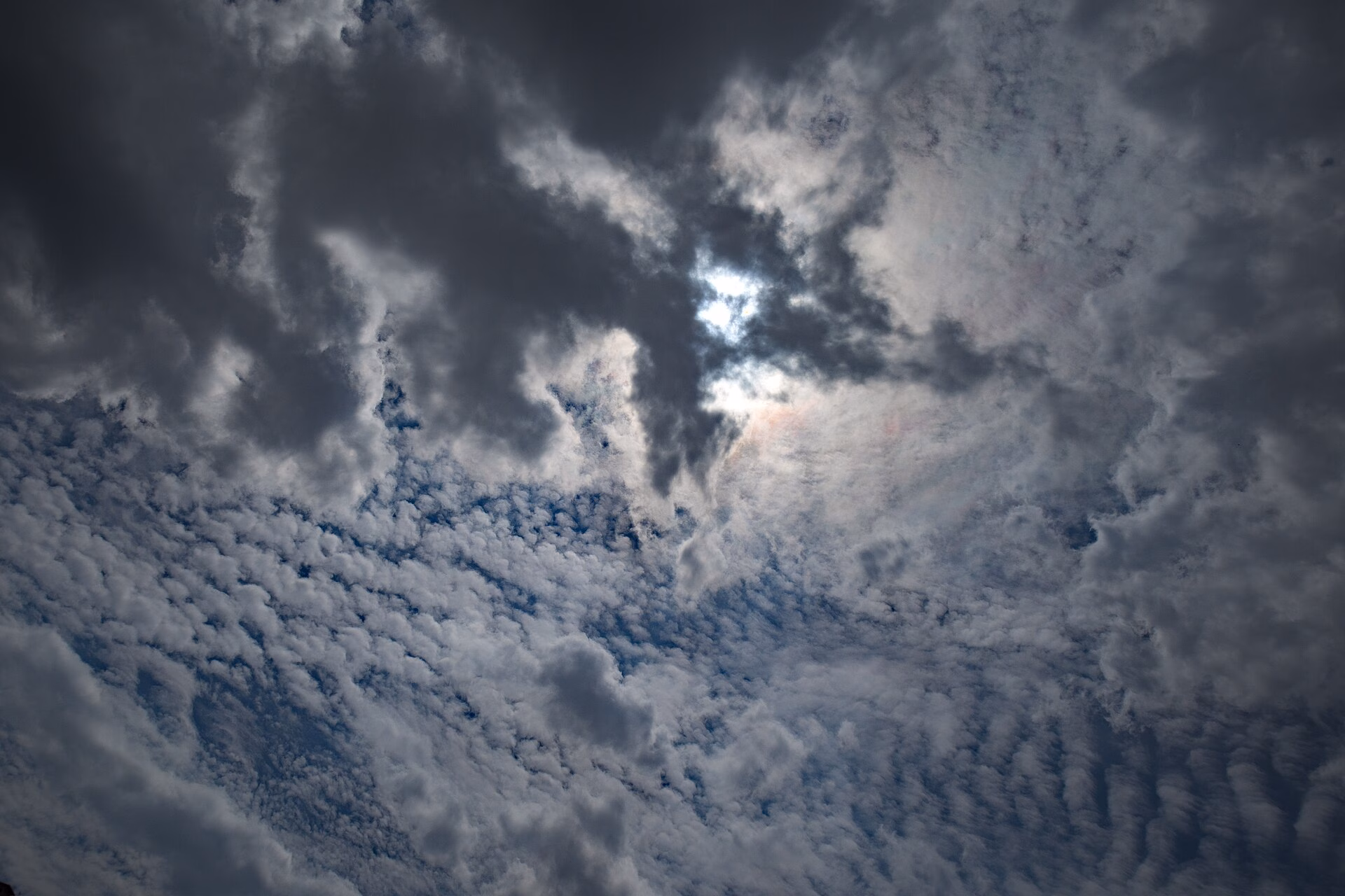 Alians PL,Cumulonimbus calvus-Cumulus-Cirrocumulus,2020-07-24,IMG 0337