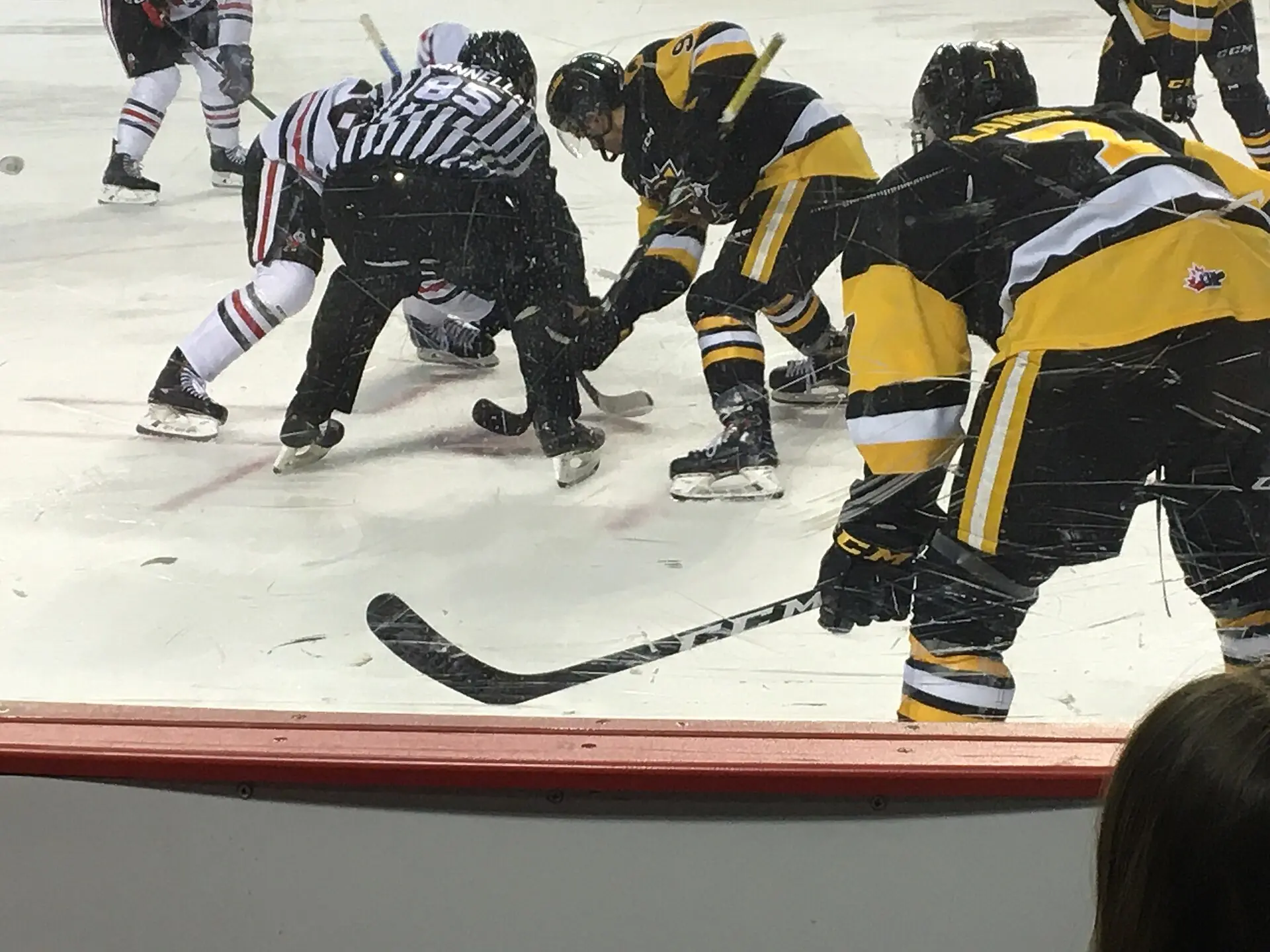 Niagara IceDogs Game3